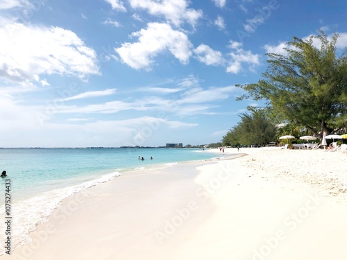 beach with palm trees