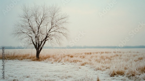Wallpaper Mural A solitary tree, dusted with snow, stands in a vast, tranquil field, capturing the stillness and quiet beauty of a wintery day. Torontodigital.ca