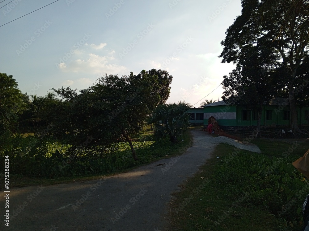 beautiful view of the park, Nature background beautiful view of the park, Nature background