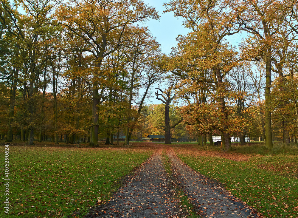 Fototapeta premium Ein Herbsttag in Tiergarten Hannover