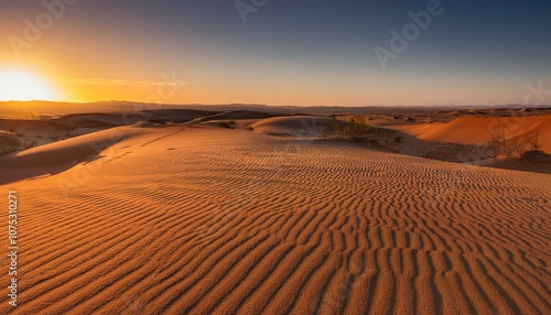 The vast desert is a world of contrasts and surprises.   photo