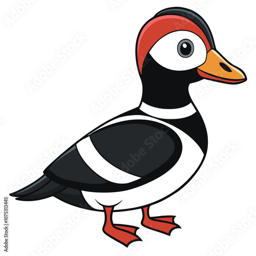 harlequin duck flat vector illustration isolated on white background.