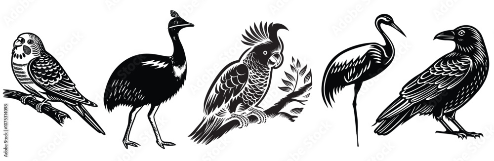 Fototapeta premium set of bird's 