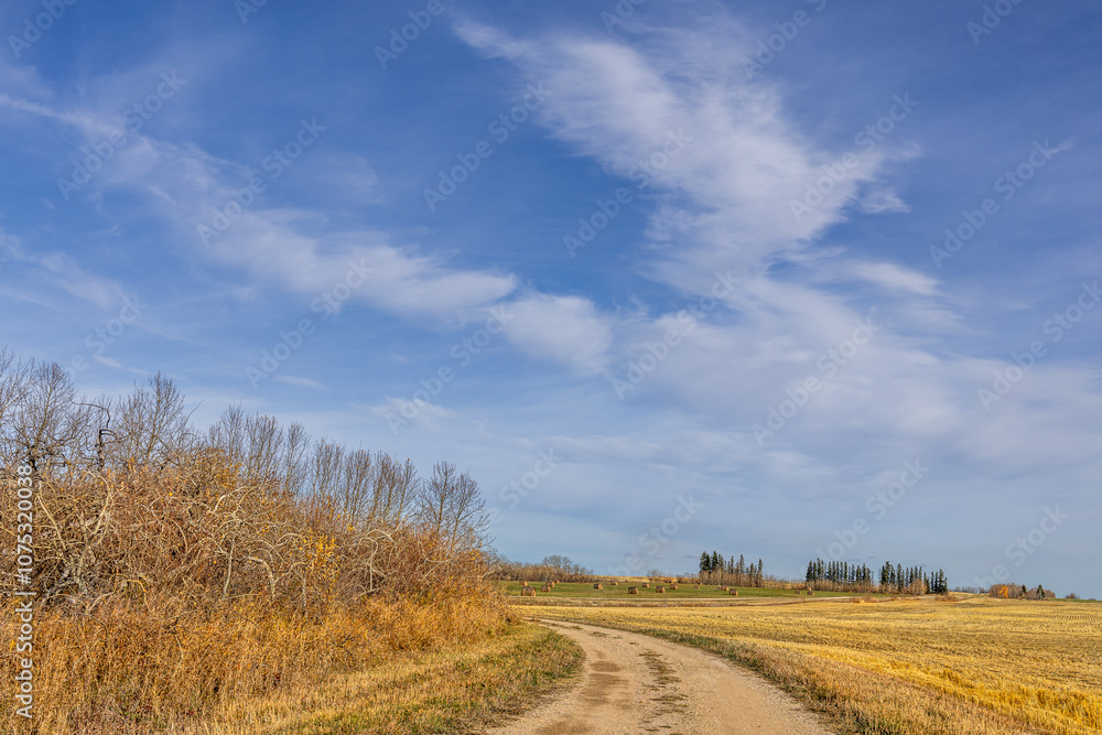 Fototapeta premium Autumnal fields in Saskatchewan