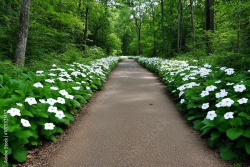 A jungle pathway lined with wildflowers and vines, leading deeper into the dense forest