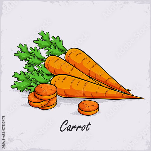 Hand drawn set of healthy organic full and sliced carrots with green leaves on top, rich of vitamins