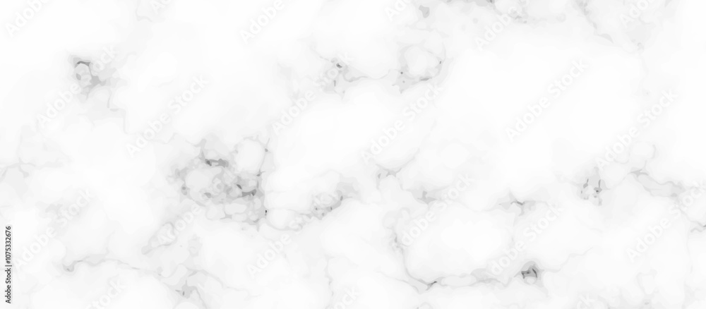 White marble texture and background. black and white marbling surface stone wall tiles and floor tiles texture. vector illustration.
White marble texture and background. black and white marbling surface stone wall tiles and floor tiles texture. vector illustration.
