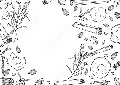 Cinnamon sticks, almond seeds, dried apple slices and sea buckthorn vector horizontal frame painted by black inks. Winter ingredients monochrome illustration for desserts, drinks. Copy space for text