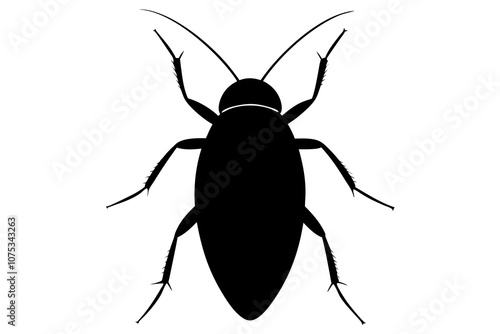 Cockroach animal silhouette vector illustration on white background.