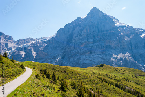 Fotografie Beautiful Alpine landscape with peak of wetterhorn, Grindelwald Bernese Oberland