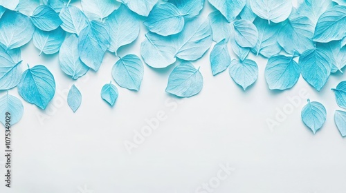 Blue leaves arranged in a fan shape against a white background, creating a minimalist and isolated botanical composition.