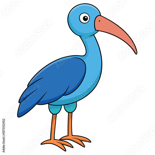 ibis vector illustration white-background photo