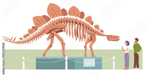 Museum of Paleontology. Stegosaurus skeleton. People are visitors, tourists. Large prehistoric lizard. Jurassic dinosaur bones. Flat vector illustration