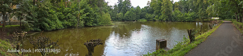 Nature at the pond 