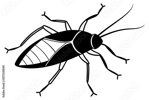 Cockroach illustration, black and white line art.