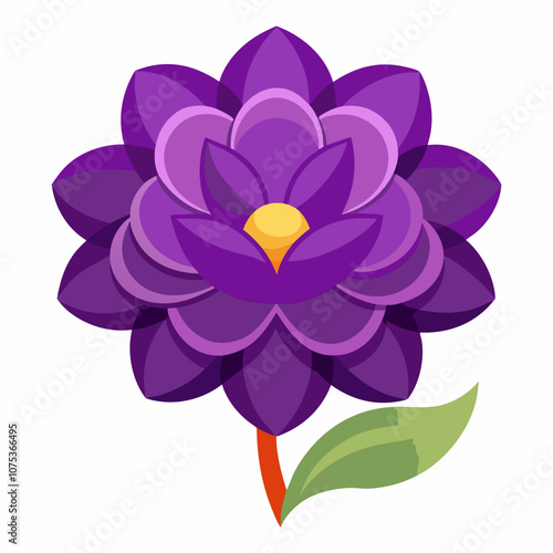 flower isolated on white