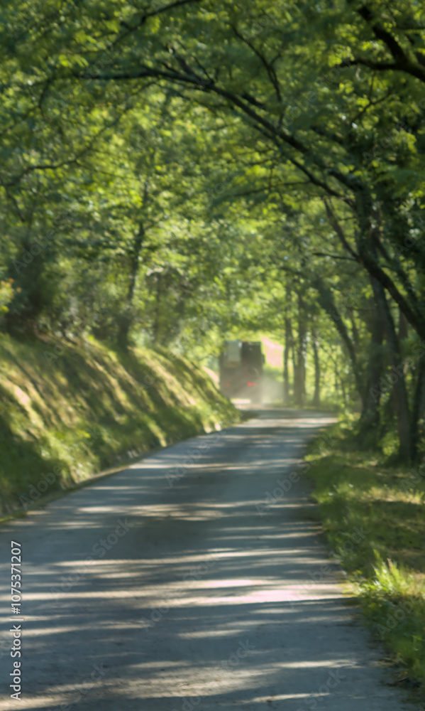 Fototapeta premium forest track and truck