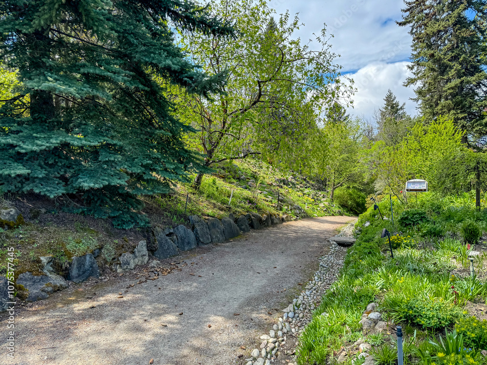 Calgary, Alberta - May 19, 2024: Pathways and plants in Reader Rock Garden in SE Calgary
Calgary, Alberta - May 19, 2024: Pathways and plants in Reader Rock Garden in SE Calgary