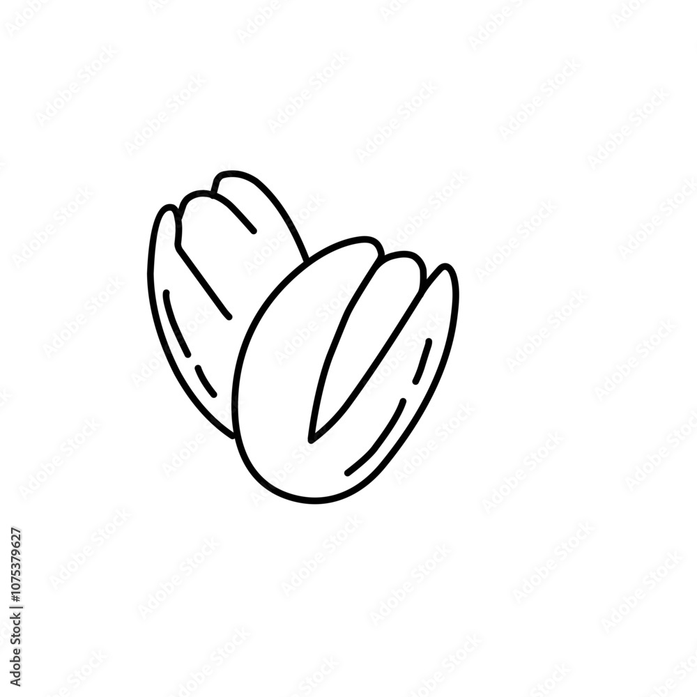 Nut and Seeds Outline Vector Nut and Seeds Outline Vector