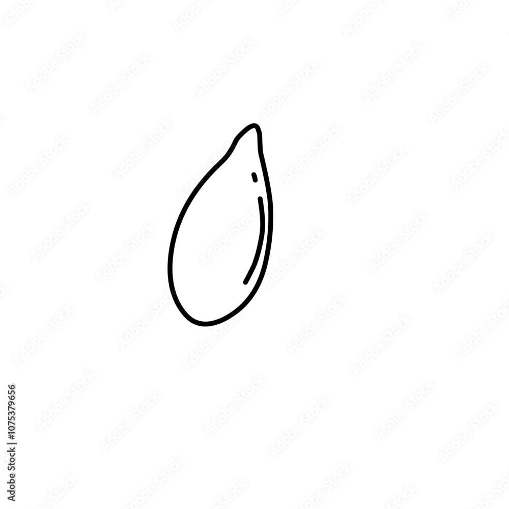 Nut and Seeds Outline Vector Nut and Seeds Outline Vector