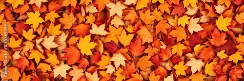 Richly detailed image of fallen autumn leaves in shades of orange, red, and yellow, colorful foliage, forest floor