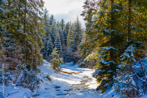 Snowy winter in the Polish mountains