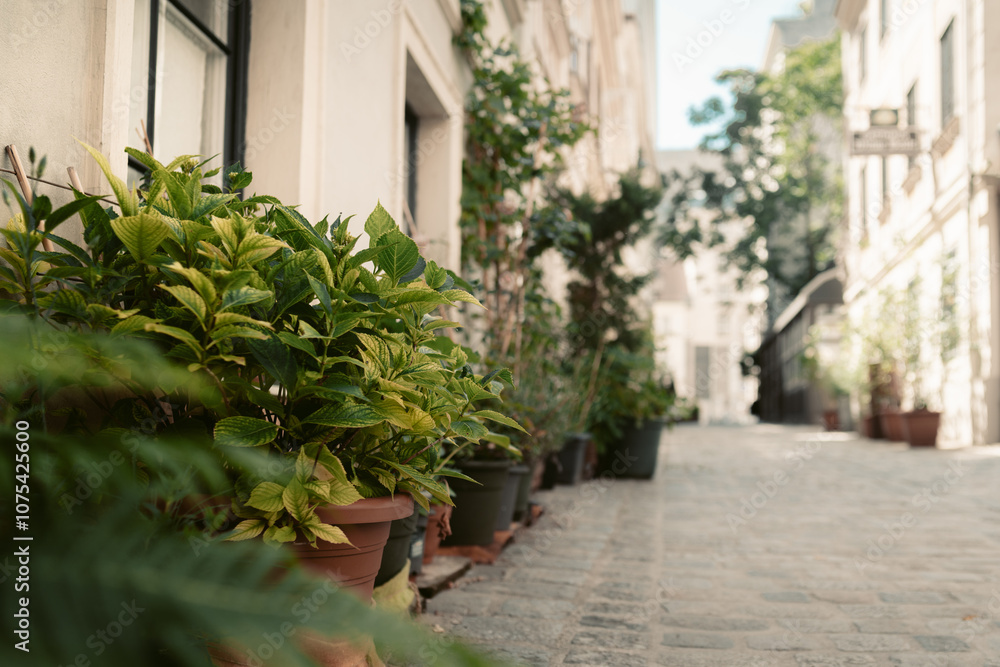 Old street at Spittelberggasse in Vienna Neubau district, Wien, Austria
