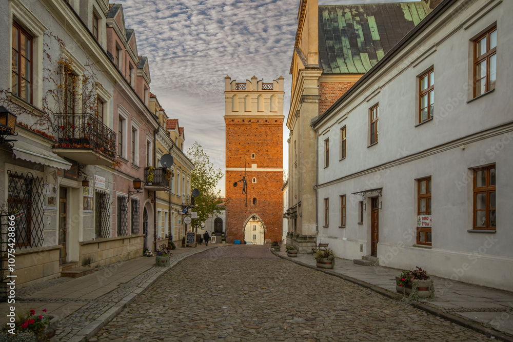 The city of Sandomierz with its churches, town hall and castle shown from above.
