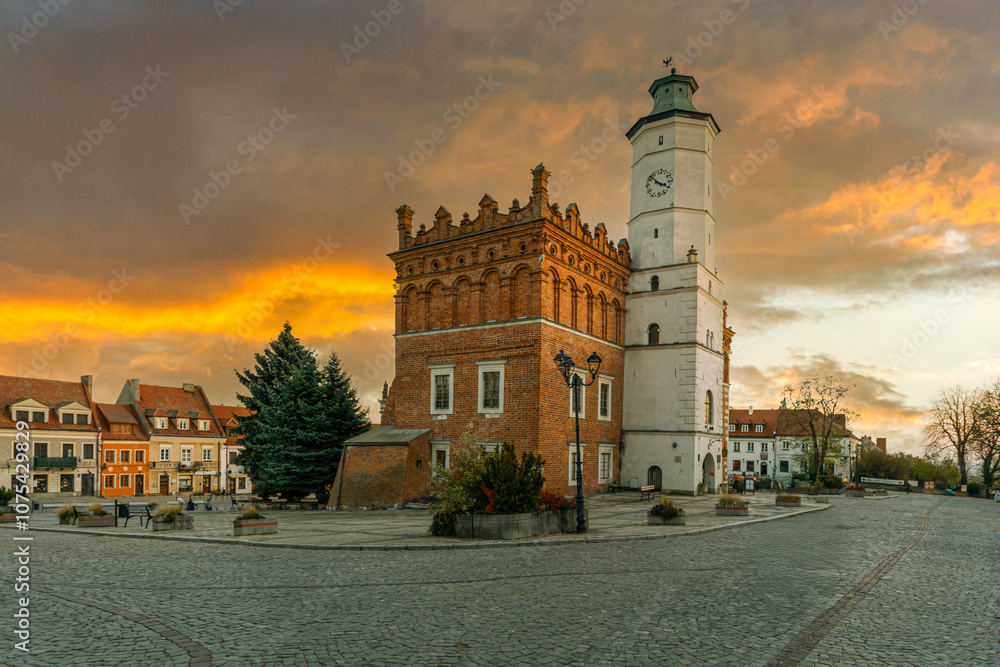 The city of Sandomierz with its churches, town hall and castle shown from above.