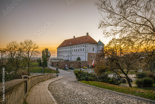 Obraz na płótnie The city of Sandomierz with its churches, town hall and castle shown from above. w salonie