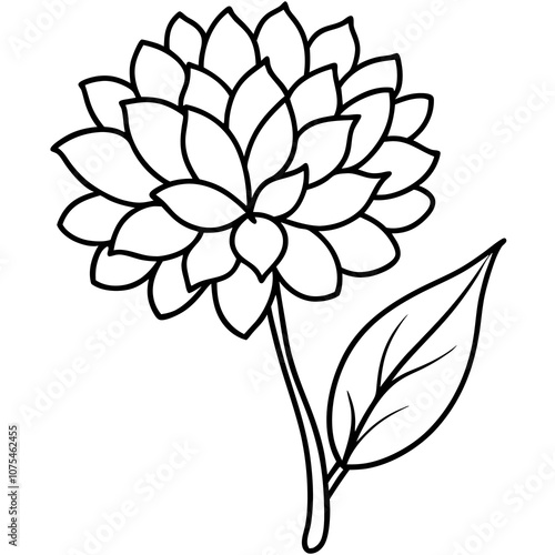 Chrysanthemum Flower Vector Art.