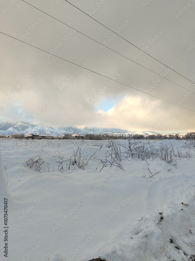 ski resort in winter ski resort in winter