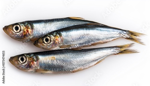 Herring on black bread