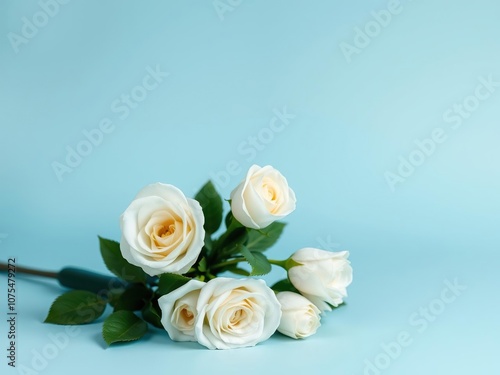 Simple yet elegant white rose bouquet on a soft blue background, present, wedding decoration