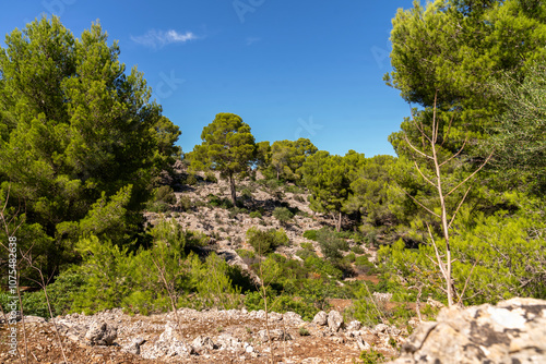 Wallpaper Mural Wandern auf dem GR 221 um Port de Soller Torontodigital.ca