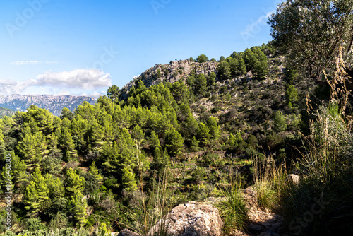 Wallpaper Mural Wandern auf dem GR 221 um Port de Soller Torontodigital.ca