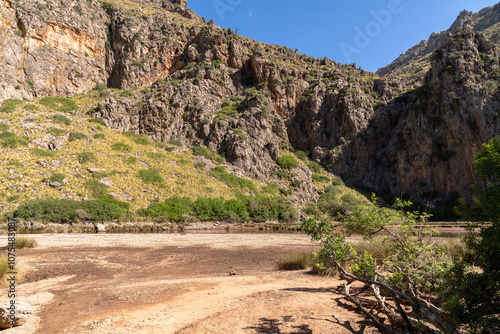 Wallpaper Mural Die Bucht und das Flussbett bei Sa Calobra Torontodigital.ca
