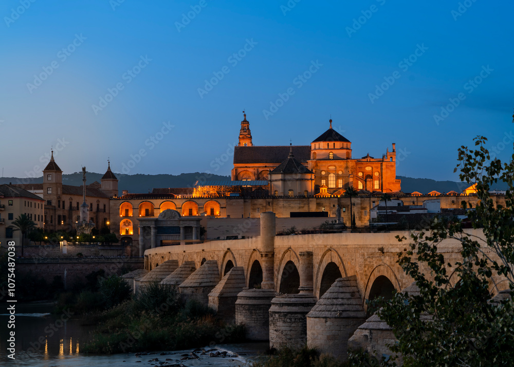 Obraz premium Panorama of Cordoba at night, Spain