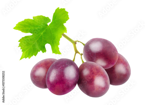 Purple grapes with vibrant green leaf against a white background