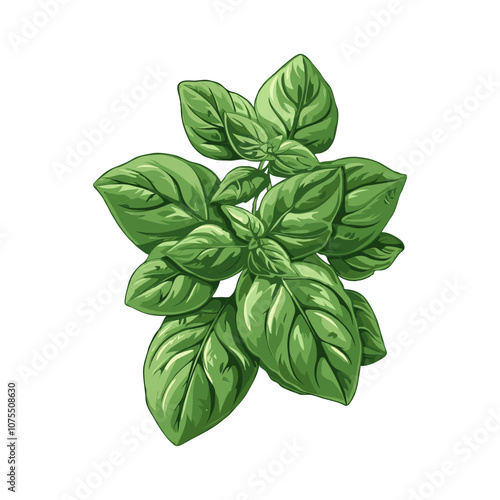 A bunch of vibrant basil leaves, illustrated in a detailed graphic style, on a plain background, representing freshness and culinary use