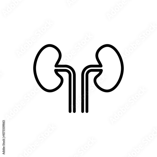 Kidney Icon