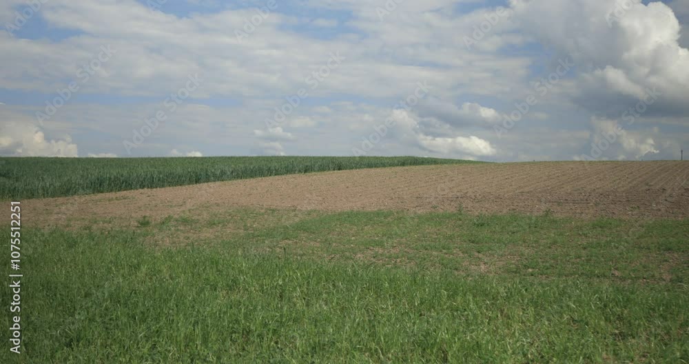 Agricultural robot farmdroid fd20 on a field in a rural scene. Blue sky with clouds. 4k video. Agricultural robot farmdroid fd20 on a field in a rural scene. Blue sky with clouds. 4k video.
