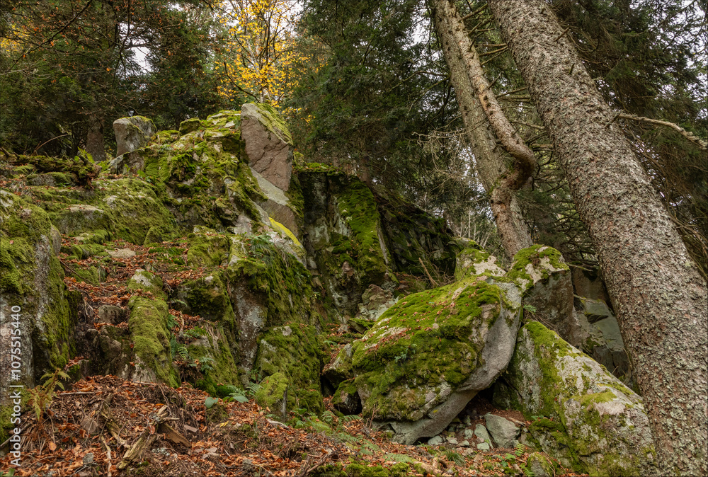 View upwards at a rockface covered in moss View upwards at a rockface covered in moss