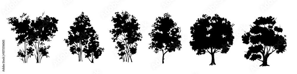 Vector set of black silhouette of different tree and shrubs, Vector illustration of tree silhouette. Vector set of black silhouette of different tree and shrubs, Vector illustration of tree silhouette.