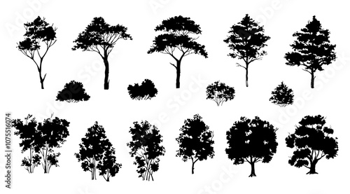 Vector set of black silhouette of different tree and shrubs,  Vector illustration of tree silhouette. 