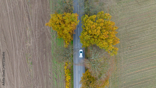 Drone view of the road, autumn