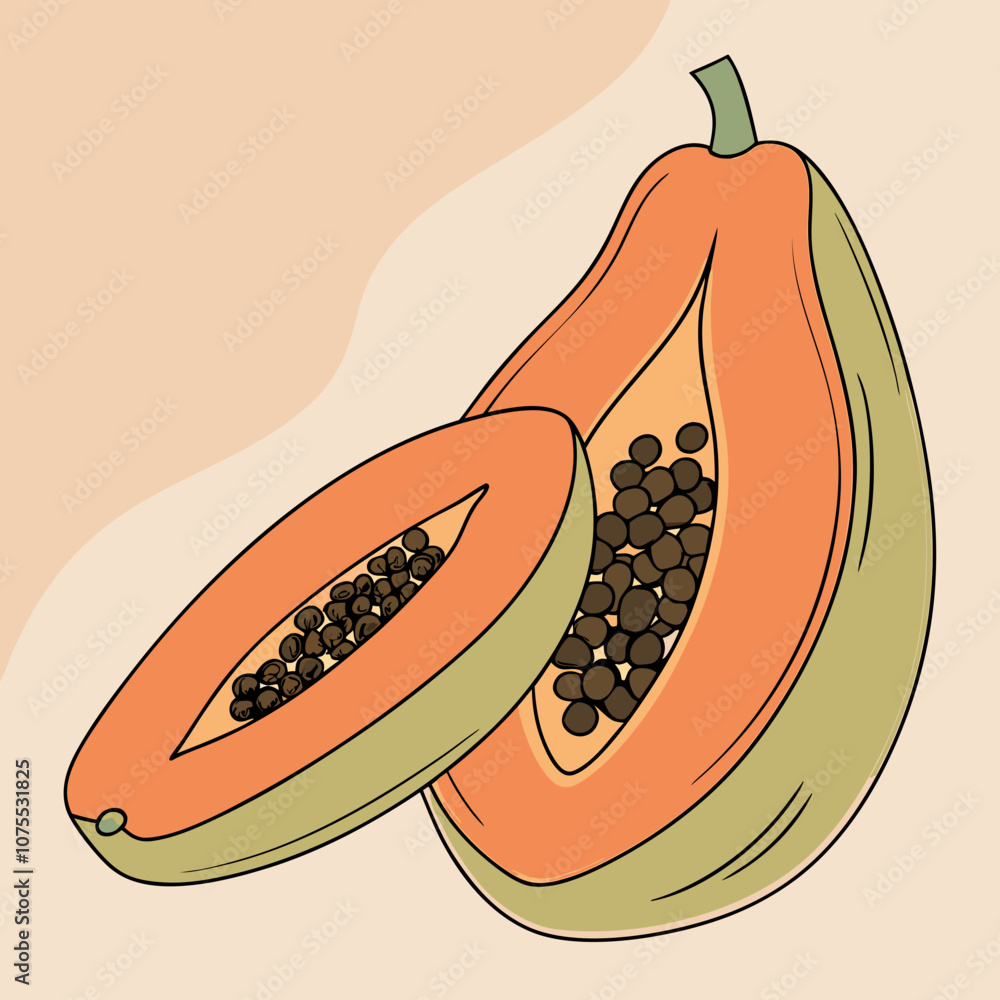 illustration of a fruit slice of papaya illustration of a fruit slice of papaya