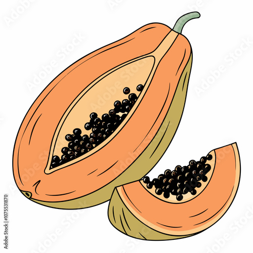 illustration of a fruit slice of papaya