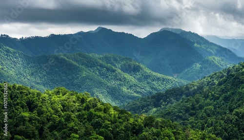 In the Shadow of Giants: Dense Forests and Overcast Peaks