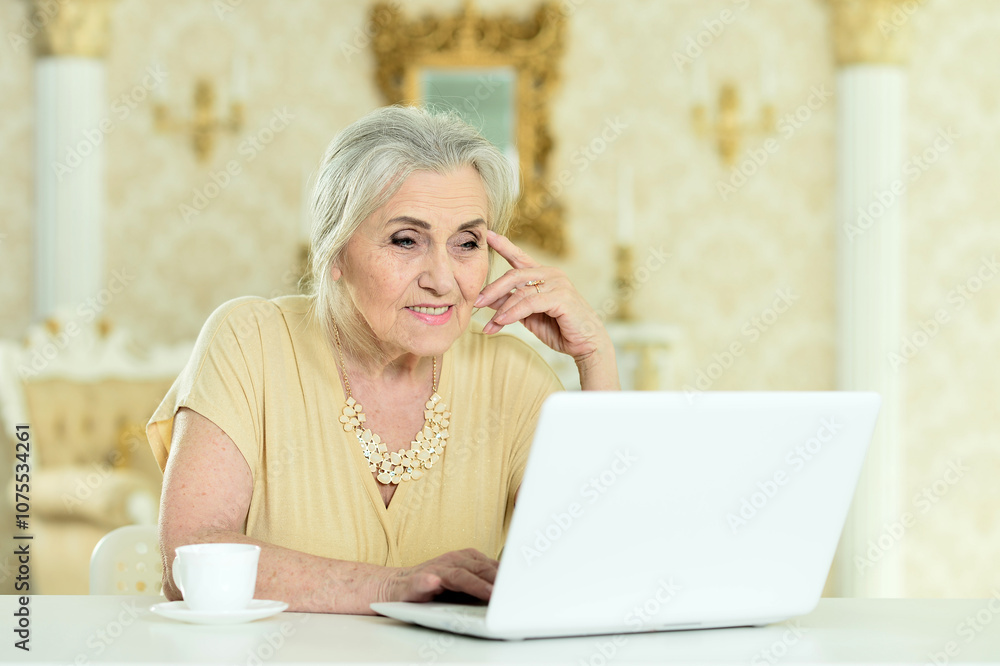 Beautiful elderly woman using a laptop at home Beautiful elderly woman using a laptop at home